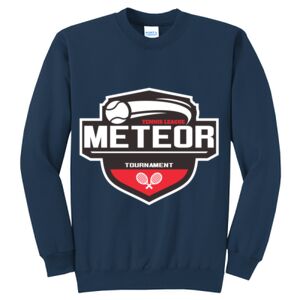 Crewneck Sweatshirt Thumbnail